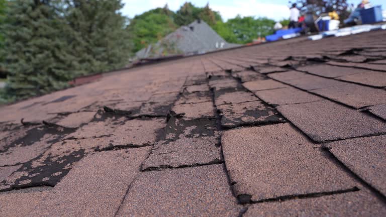 Best Hot Roofs  in Haiku Pauwela, HI