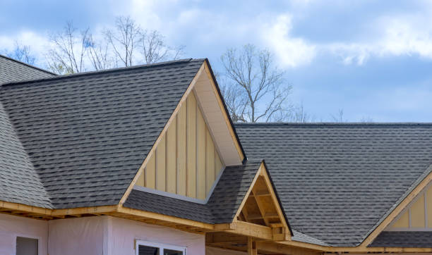 Best Solar Panel Roofing Installation  in Haiku Pauwela, HI